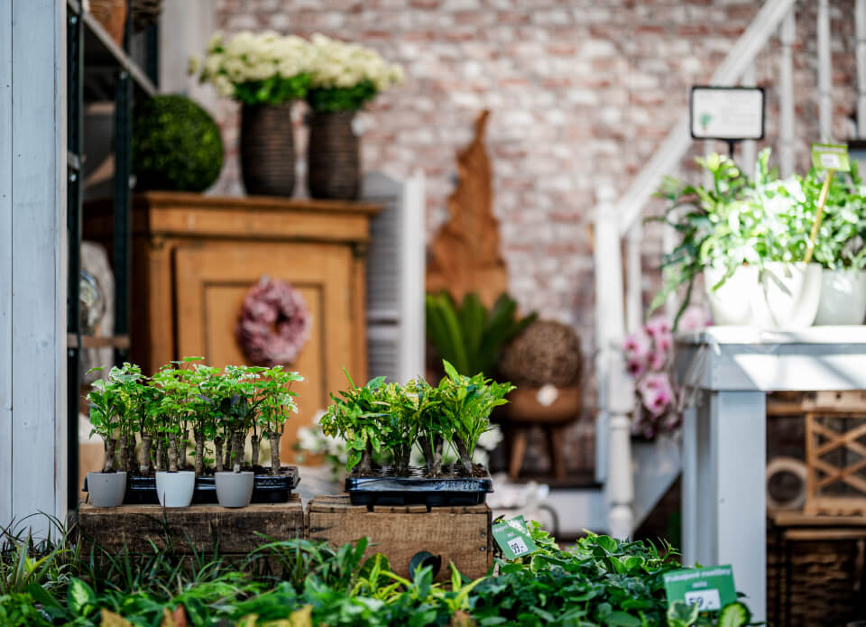 Uvnitř květinářství