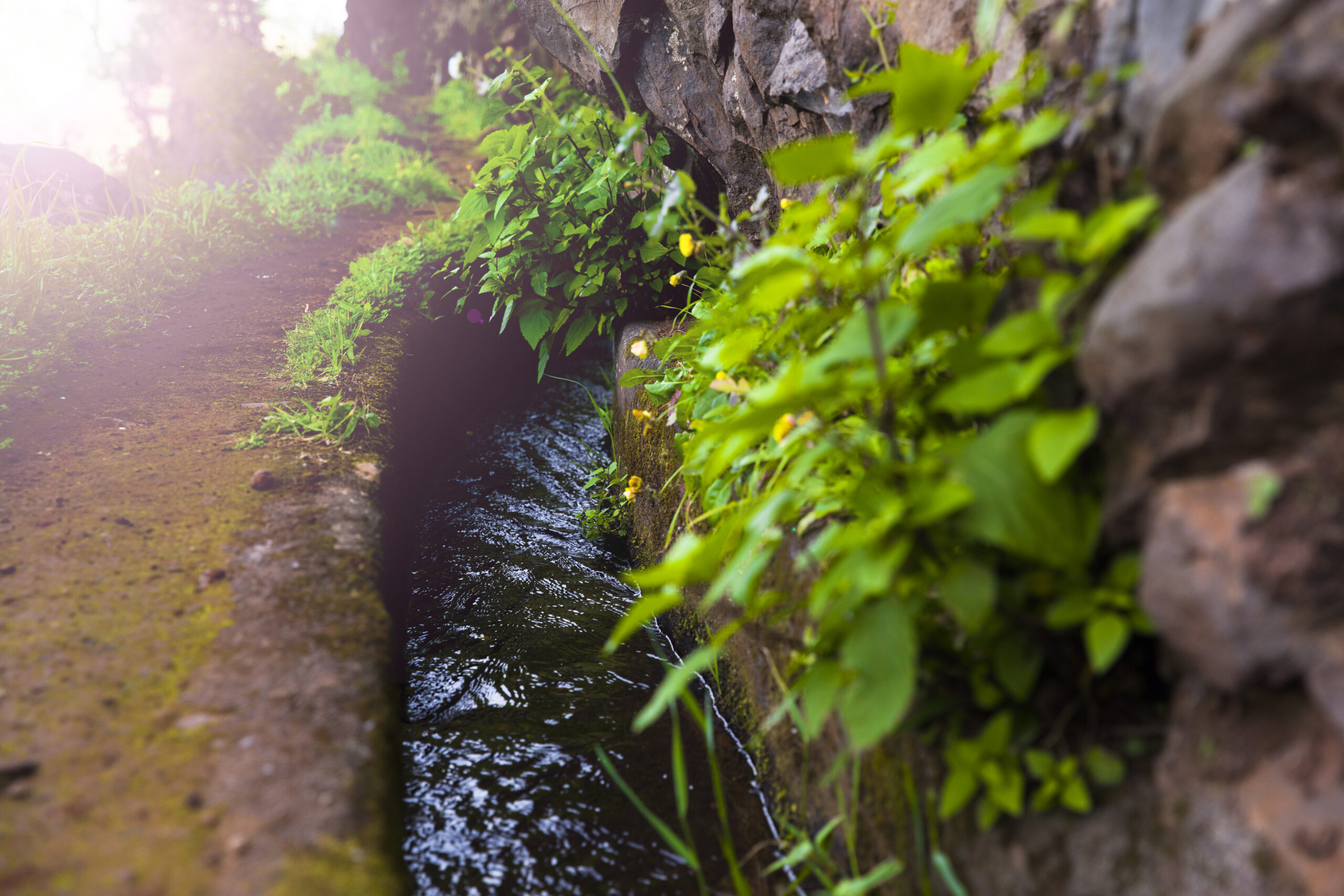 Malý zavlažovací kanál na zemědělské půdě