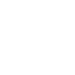 Haussteuerung - Puzzle