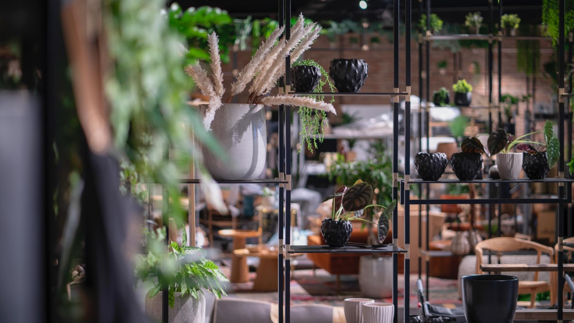 ph-blog-sallyconvalley-2@2x Sallys_Welt