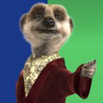 aleksandr_the_meerkat