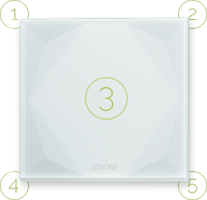 Touch Pure Tree Touch Points