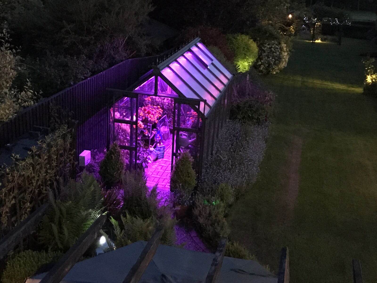 illuminated greenhouse pink