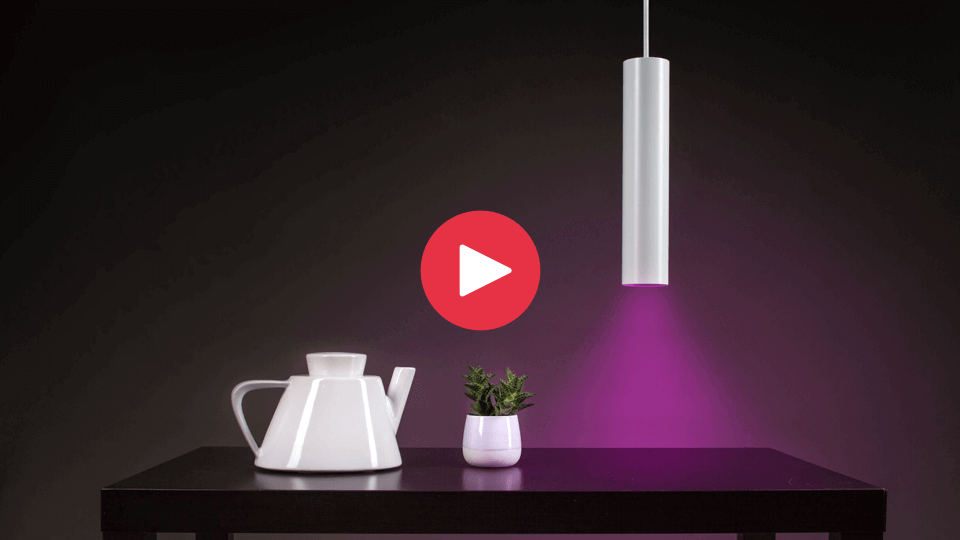 Pendulum slim creating aesthetic glow over modern tea pot and plant.