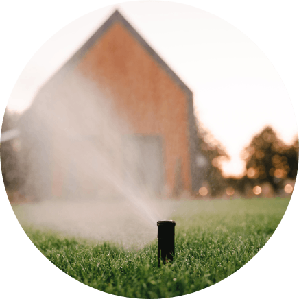 Automatic irrigation at Cape of Dreams