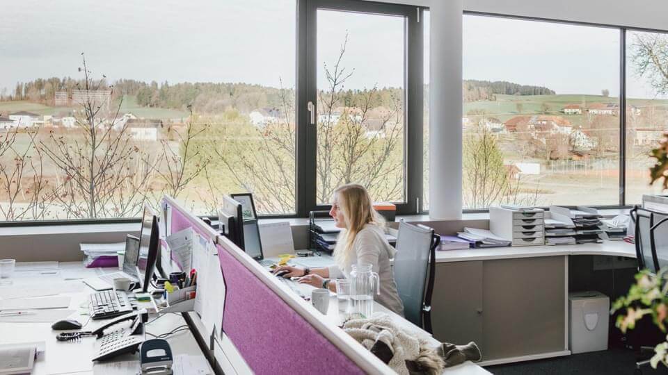 Büroraum der Firma Träumeland