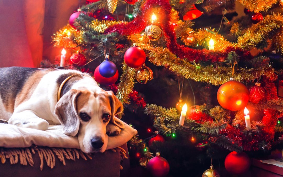 Przerwa świąteczna 2020