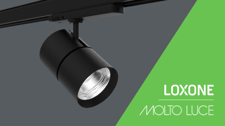 Światła Molto Luce