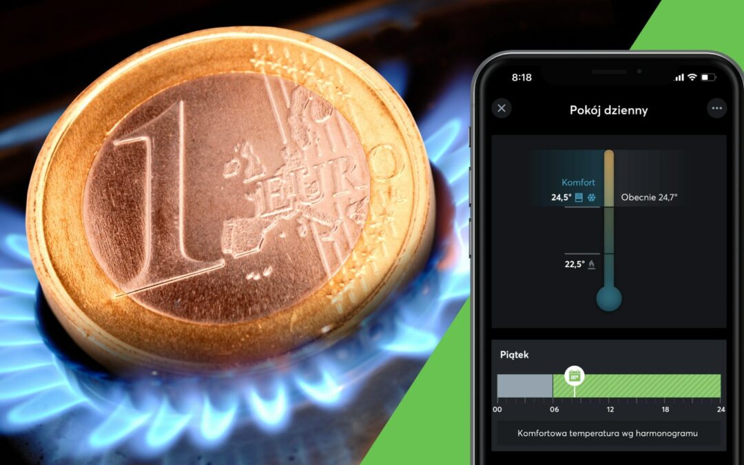 Kryzys gazowy: zaoszczędź ponad 30% na gazie!